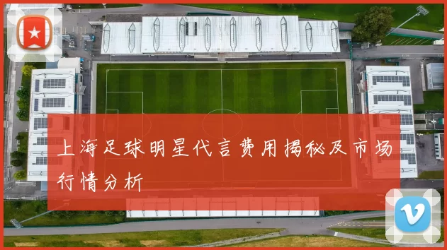 上海足球明星代言费用揭秘及市场行情分析