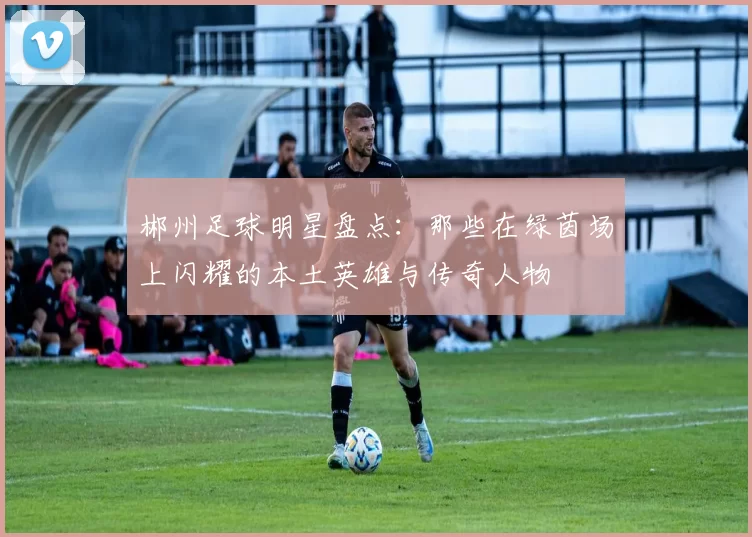 郴州足球明星盘点：那些在绿茵场上闪耀的本土英雄与传奇人物