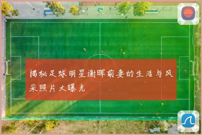 揭秘足球明星谢晖前妻的生活与风采照片大曝光