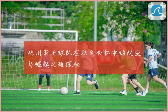 杭州羽毛球队在联合会杯中的蜕变与崛起之路探秘