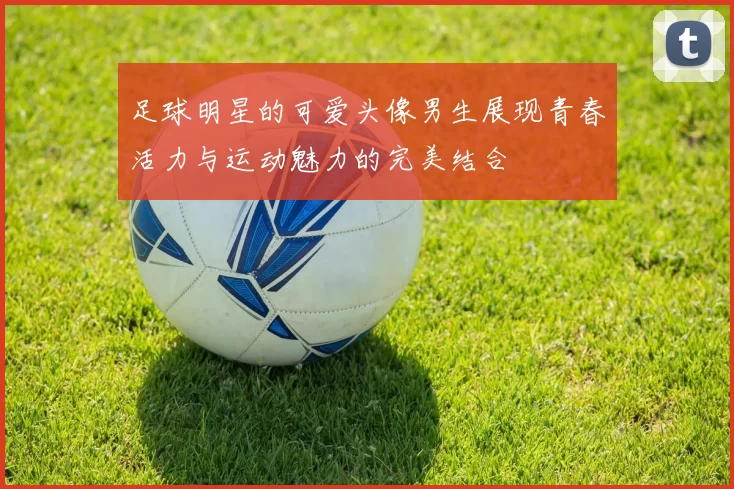 足球明星的可爱头像男生展现青春活力与运动魅力的完美结合