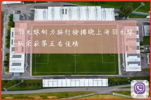 羽毛球耐力排行榜揭晓上海羽毛球队荣获第五名佳绩
