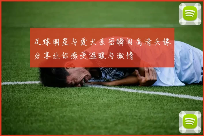 足球明星与爱犬亲密瞬间高清头像分享让你感受温暖与激情