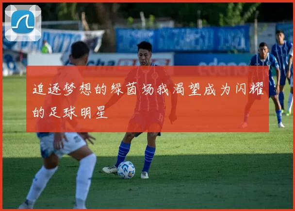 追逐梦想的绿茵场我渴望成为闪耀的足球明星