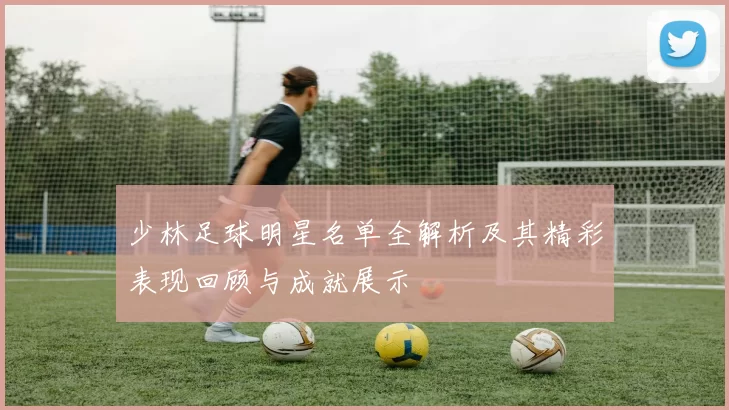少林足球明星名单全解析及其精彩表现回顾与成就展示