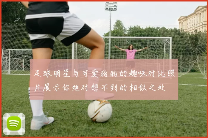 足球明星与可爱狗狗的趣味对比照片展示你绝对想不到的相似之处