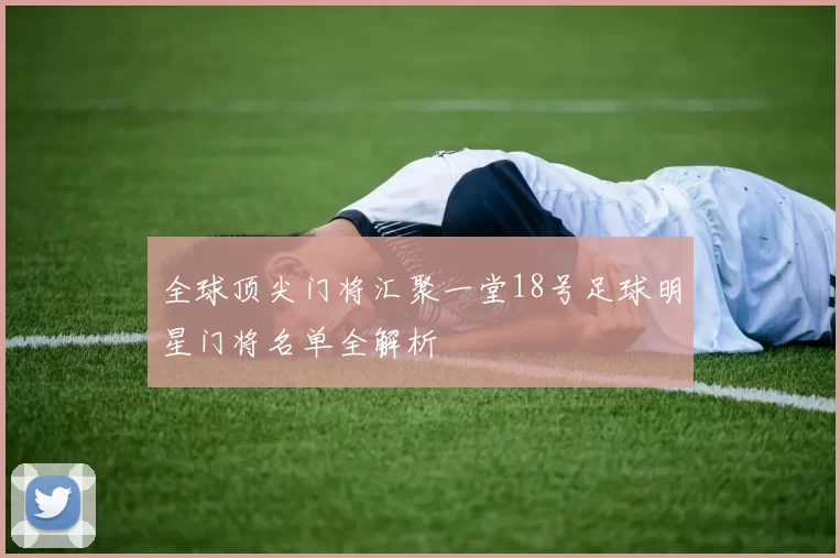 全球顶尖门将汇聚一堂18号足球明星门将名单全解析
