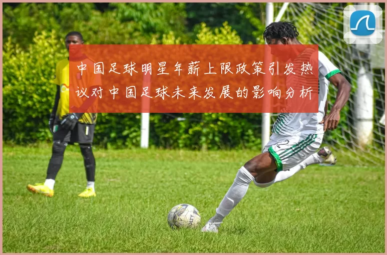 中国足球明星年薪上限政策引发热议对中国足球未来发展的影响分析
