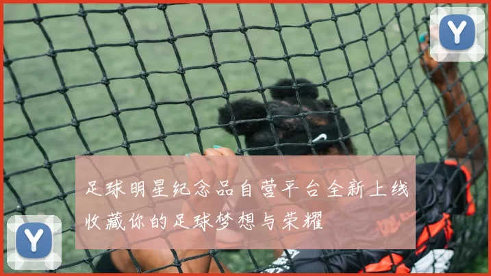 足球明星纪念品自营平台全新上线收藏你的足球梦想与荣耀