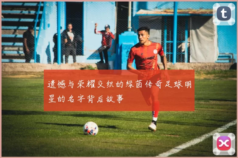 遗憾与荣耀交织的绿茵传奇足球明星的名字背后故事